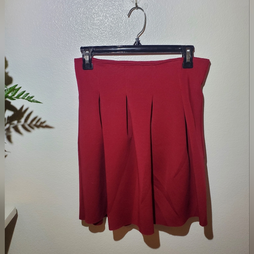 Freestyle Thick Sleek Dark Red Skirt
